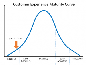 CX maturity curve
