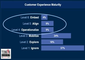 customer experience maturity