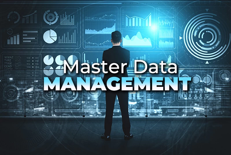 Master Data Management 