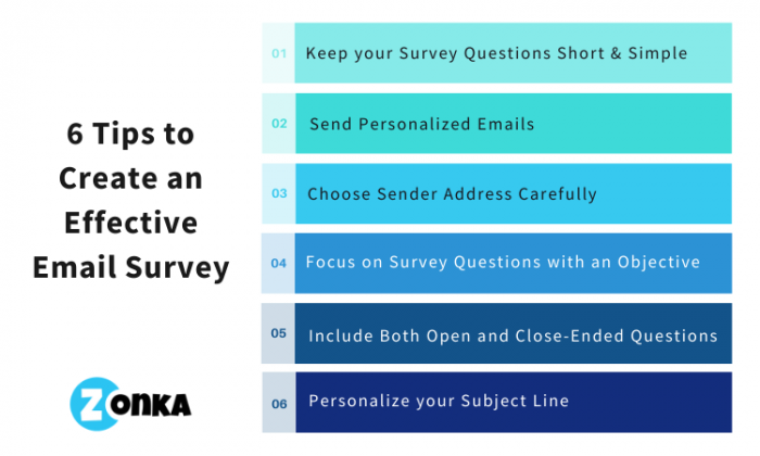 Email Survey Software