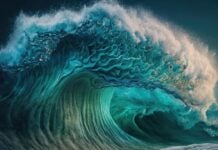How to (Re)Build Customer Trust in the Age of Overwhelm